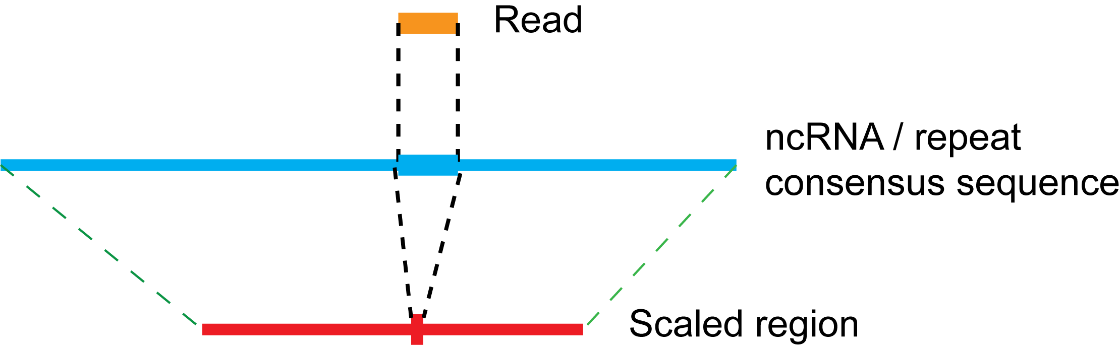 Image scaling